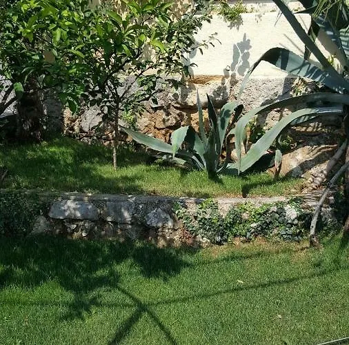 Apatmani Milena אופטיה