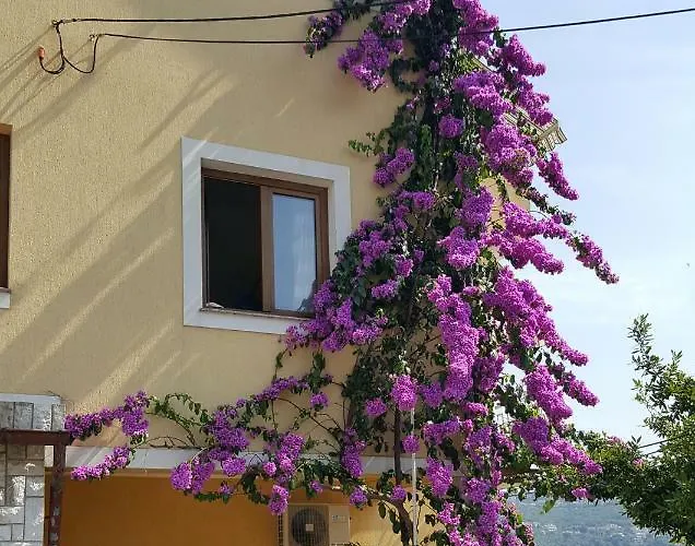 Apatmani Milena * Opatija